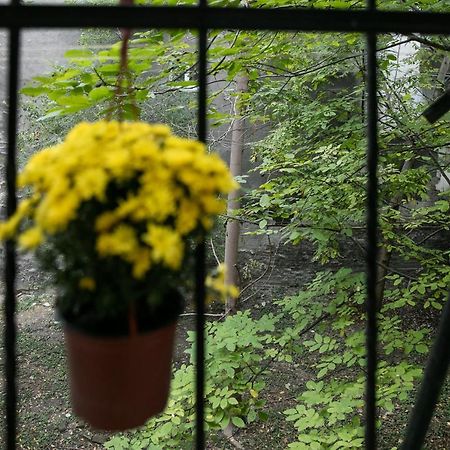 Natalie'S Home Belgrade Luaran gambar